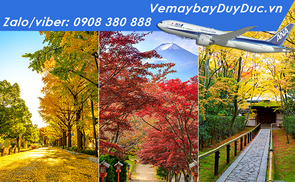 Hãng All Nippon Airways khuyến mãi vé đi Nhật Bản 650 USD