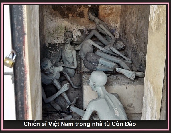 Cách mua vé máy bay đi Côn Đảo cực rẻ mà bạn chưa biết