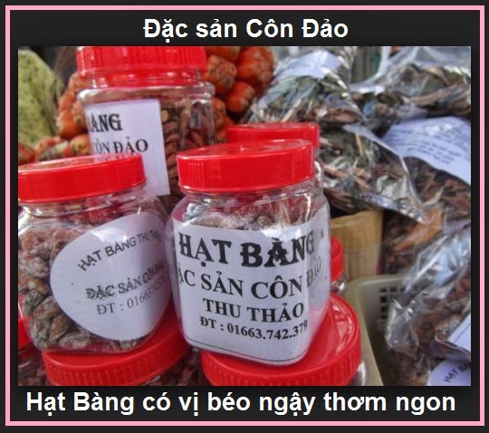 Cách mua vé máy bay đi Côn Đảo cực rẻ mà bạn chưa biết