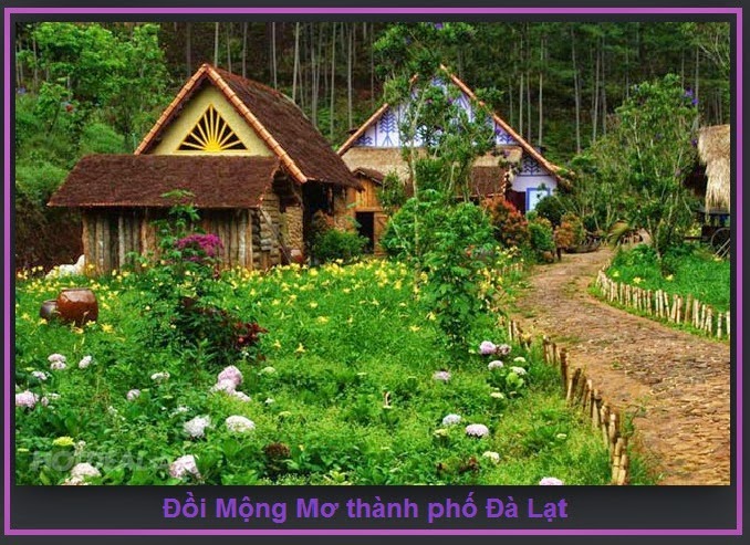 Kinh nghiệm mua vé máy bay đi Đà Lạt lần đầu được chia sẽ