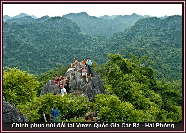 Thông tin về vé máy bay đi hải phòng có mức giá ưu đãi nhất