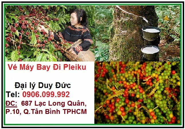 Vé máy bay đi Pleiku giá rẻ - Duy Đức