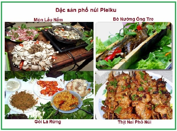 Vé máy bay đi Pleiku giá rẻ - Duy Đức