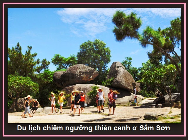 Bạn sẽ học được cách săn vé máy bay đi thanh hóa giá rẻ?