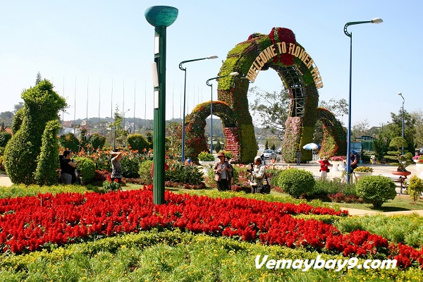 Vé máy bay đi Đà Lạt giá bao nhiêu?