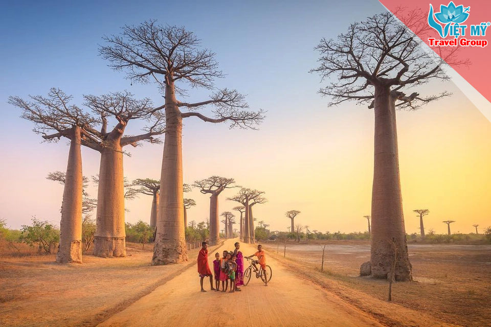 Ưu đãi vé máy bay Kenya Airways đi Châu Phi – Giảm đến 15% khi đặt vé trước 15/06/2025
