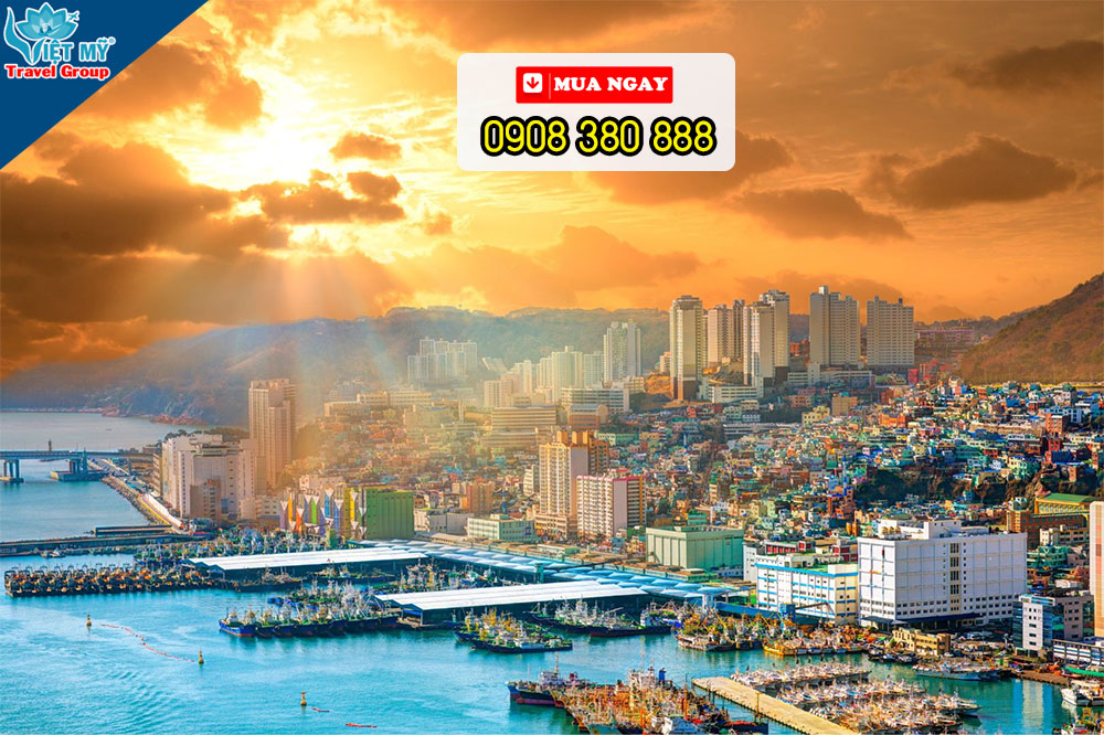 Từ ngày 21/10/2025 Eva Air chính thức khai thác tuyến bay nối TP.HCM và Busan