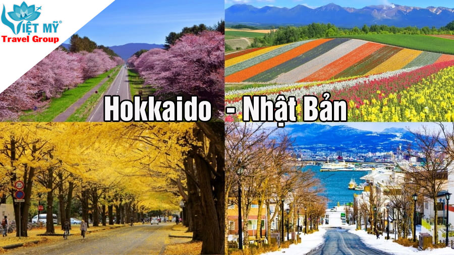 Du Lịch Hokkaido Cùng EVA Air – Hãng 5 Sao, Giá Từ 250 USD, Dịch Vụ Chuẩn Quốc Tế