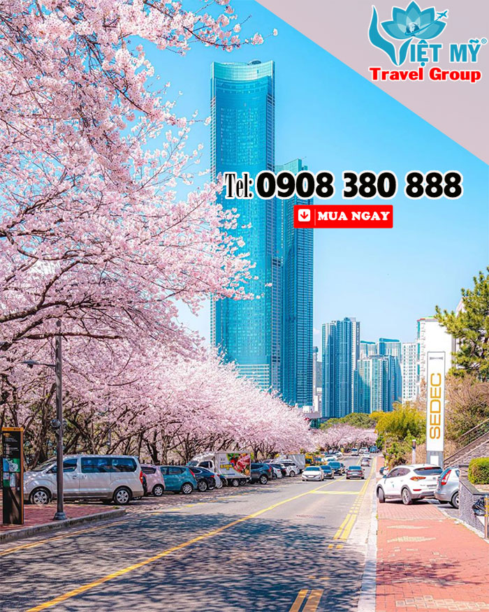Khám phá thành phố biển Busan cùng đường bay mới EVA Air