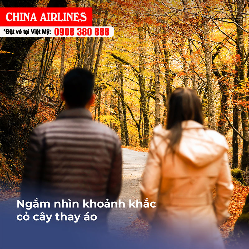 Đặt vé China Airlines đi San Francisco – Trải nghiệm mùa thu mơ màng
