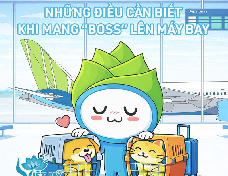 Quy định mang thú cưng lên máy bay dịp Tết – Khách cần biết gì?