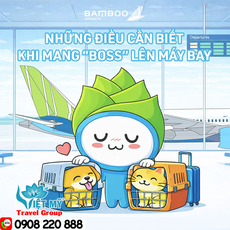 Quy định mang thú cưng lên máy bay dịp Tết – Khách cần biết gì?