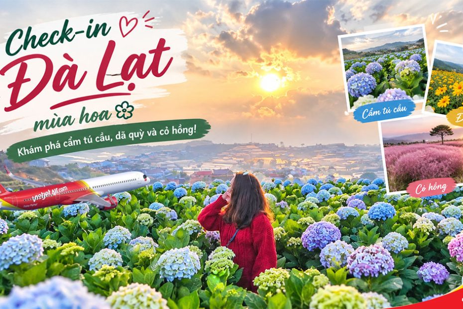 Check-in Đà Lạt mùa hoa: Khám phá cẩm tú cầu, dã quỳ và cỏ hồng!
